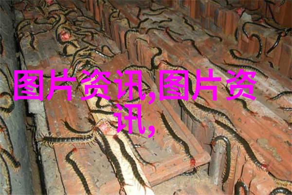 近几年种什么药材前景好-追踪未来深度分析当前热门药材市场趋势与投资潜力