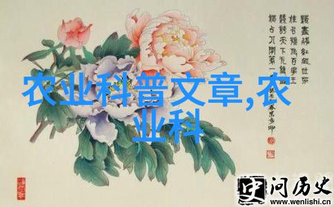 寻求药材种植合作-共创绿色健康探索中医药材种植合作模式