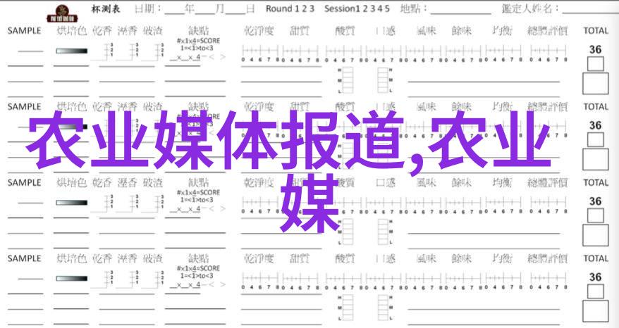 这台大型旋耕起垄施肥一体机能否真正实现高效节约的现代农业梦想