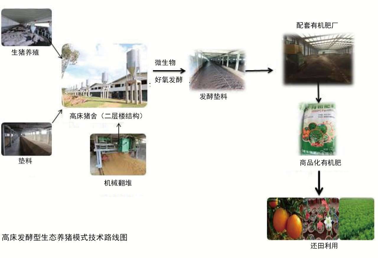 蔬菜丰收十亩连栋大棚的经济效益探究