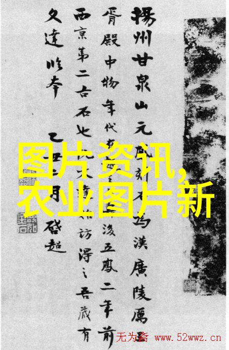 绿色货源蔬菜批发市场的生机与活力