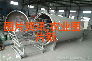养蜜蜂的技巧与方法