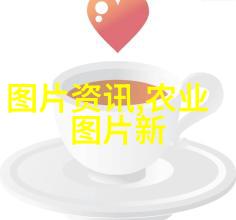 香气飘散常见室内香草植物的养护方法