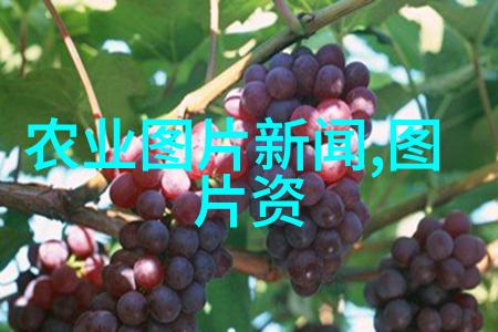 日产精品车型配置详解日产新款车型的二驱四驱选择