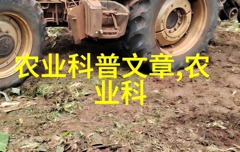 爆款养宠揭秘当前最火的养殖项目及热门词汇
