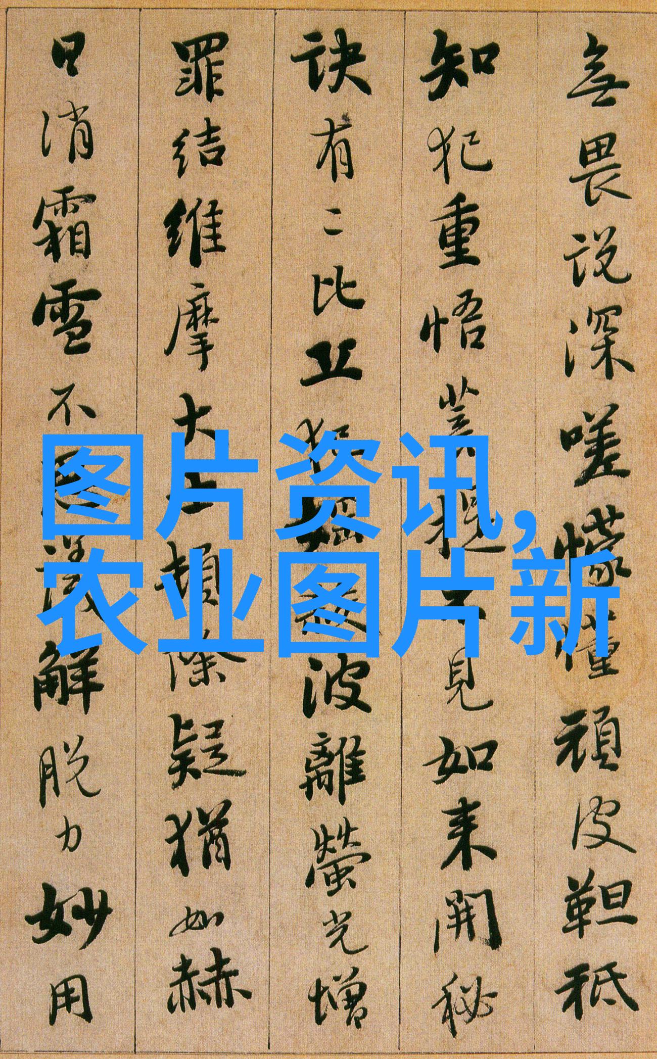 穷人也能成功分享一些实用的创业建议