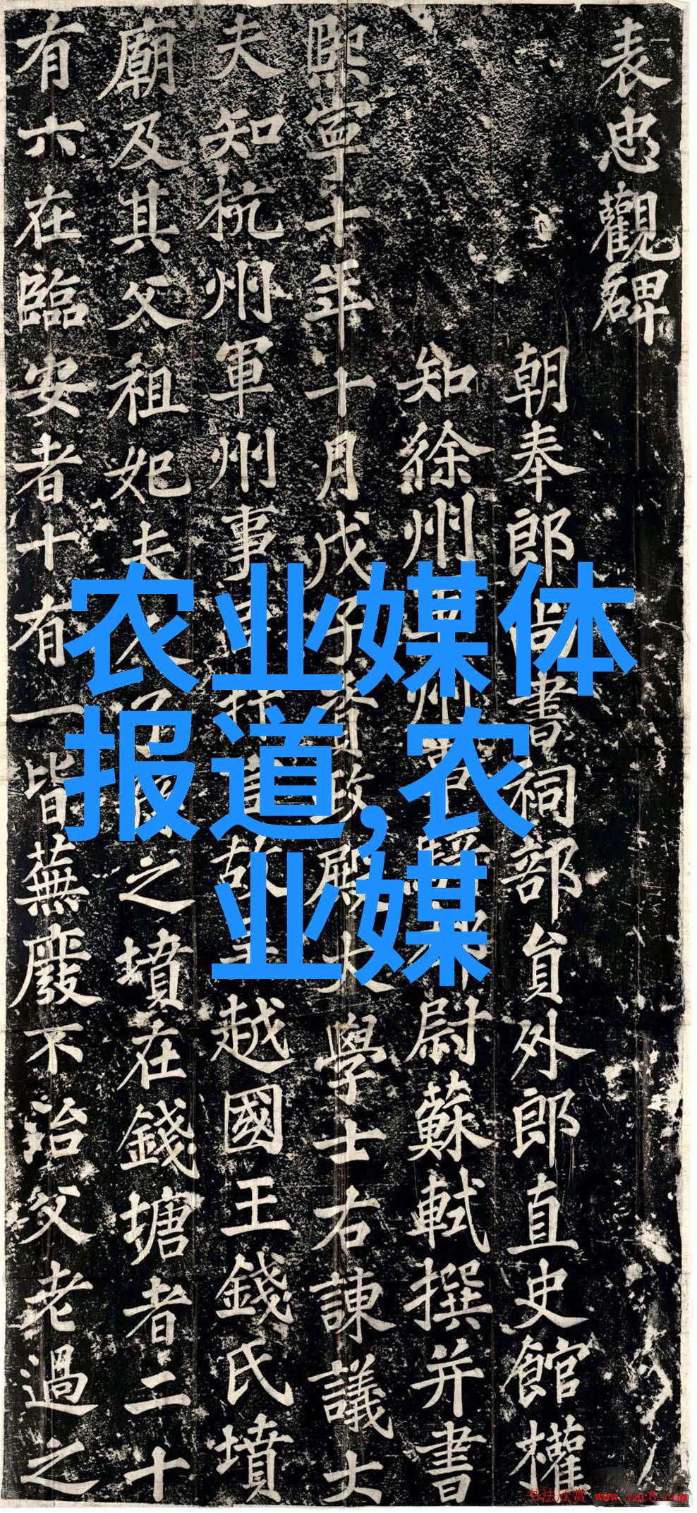 茶叶入门揭秘品种烹饪技巧与品鉴之道