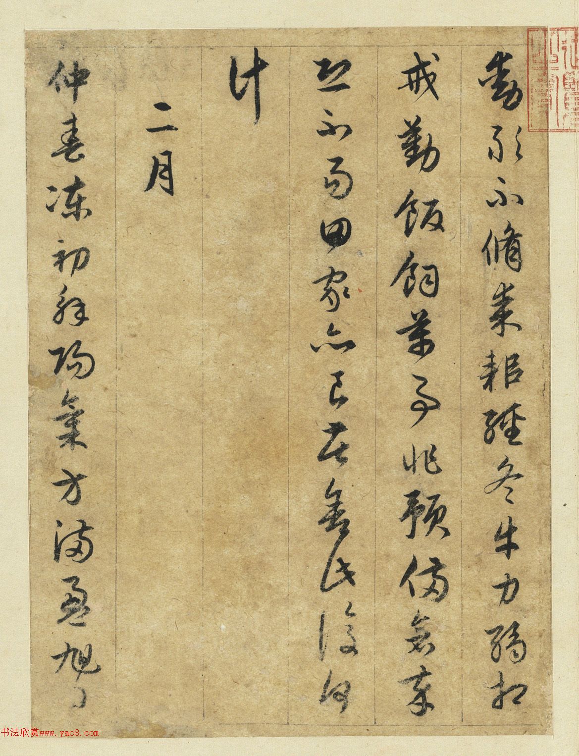 春天的小确幸分析10公分玉兰树在不同季节的价值