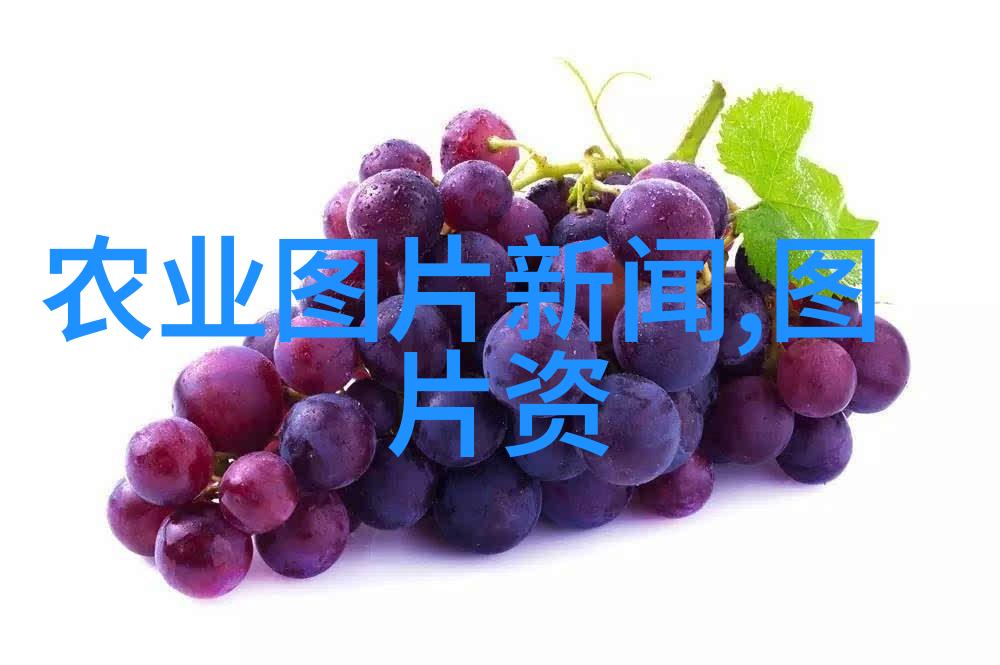 中医百宝箱解析并使用农村中的60种野生中草药