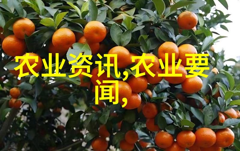 垂直穿梭城市生活的新高度