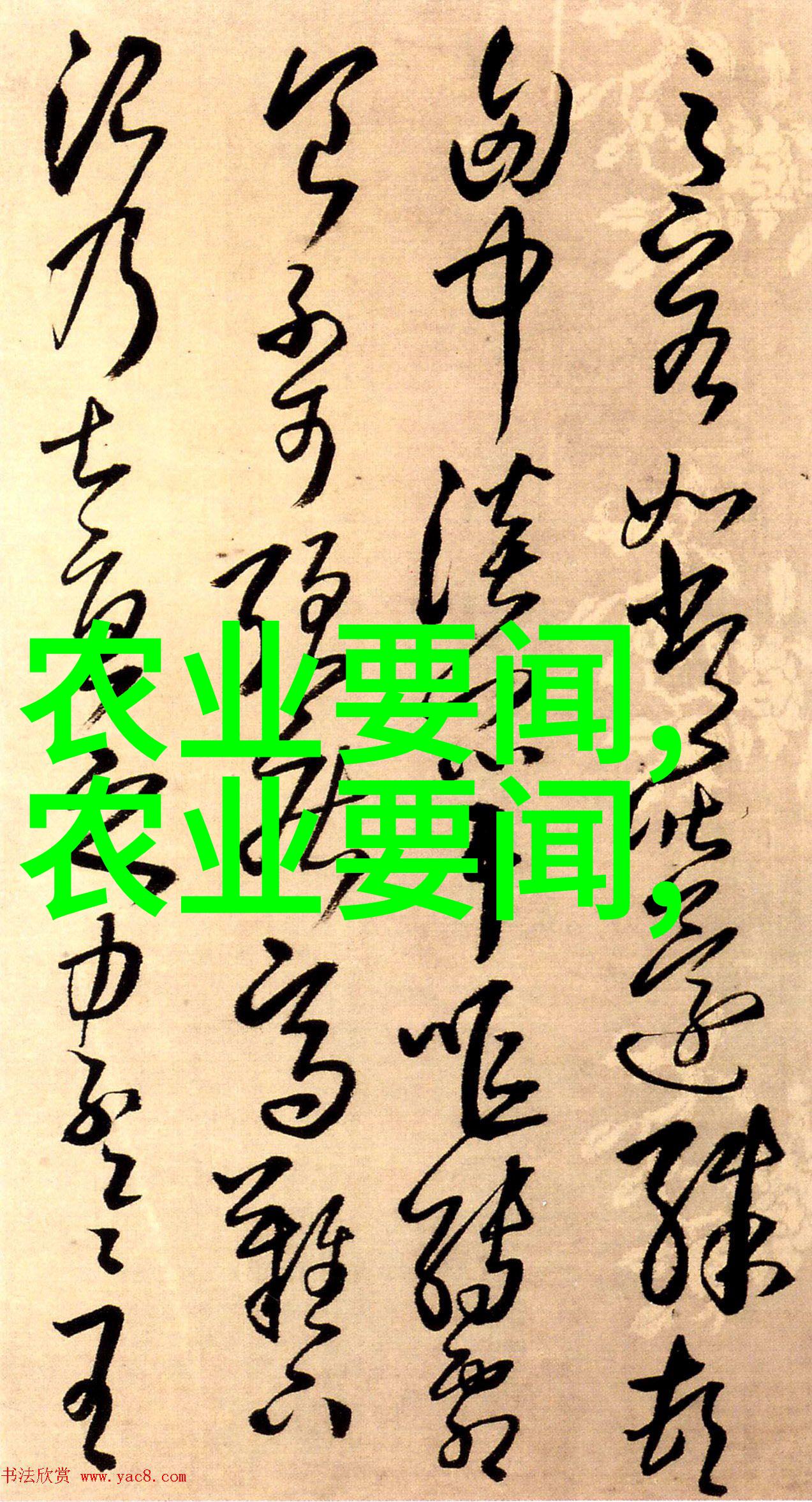遇见的奇迹珍贵人生时刻的回忆