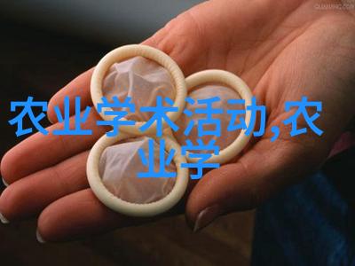 你是我的女人4韩国中字电影浪漫爱情成长故事