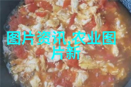 品茗雅致揭秘茶叶的古韵与香气