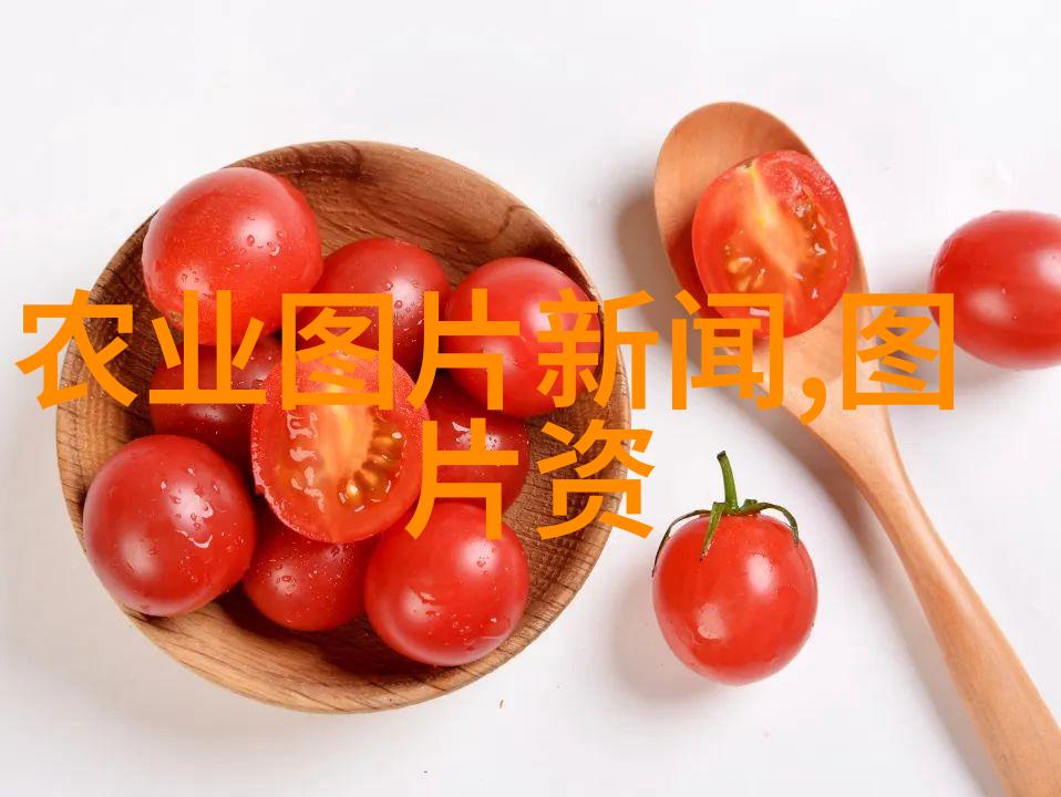 家庭适合养殖什么创业项目-家园里的财富探索最适合家庭的养殖模式