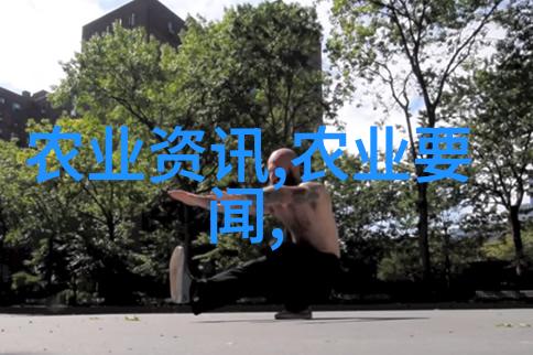 金线莲种子价格高品质植物市场的昂贵收藏