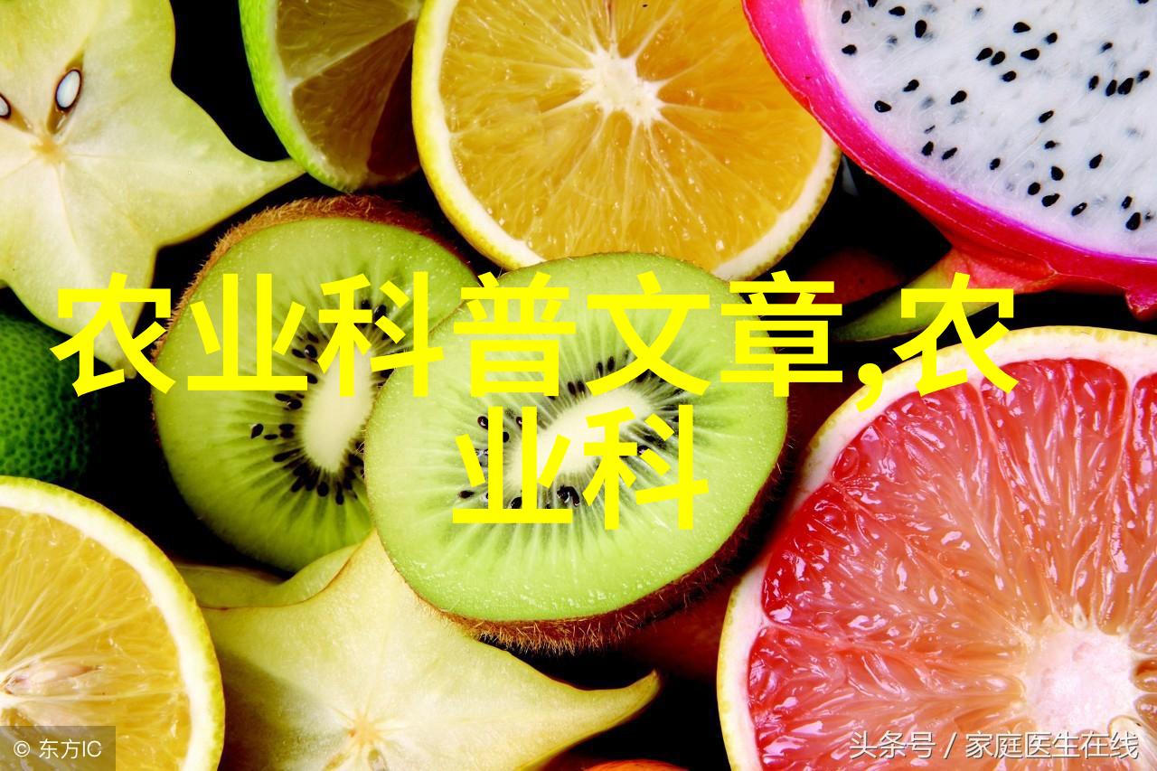 解读新时代民事纠纷解决之法2022年版民法典全文详解