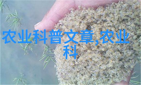 土洞养蜂技术视频-深度探究如何在自然土洞中高效养殖蜂群