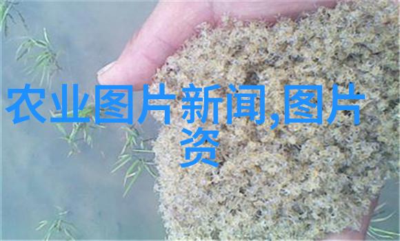 50岁以上劳动力招聘信息专区