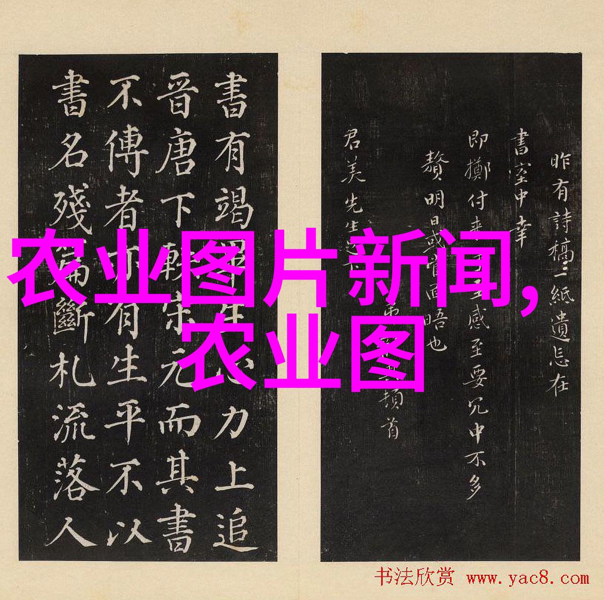 种植快生长且口感佳的水果秘诀