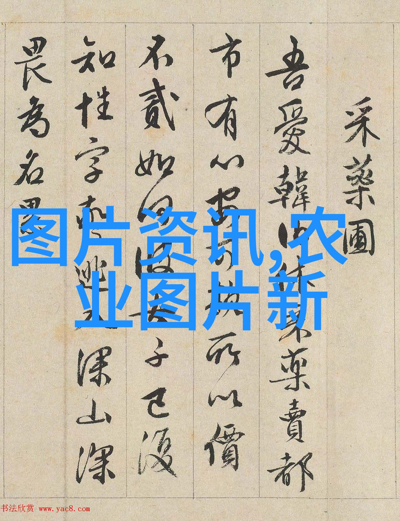 城市绿洲中的金色财宝如何轻松养活柑橘类盆栽水果