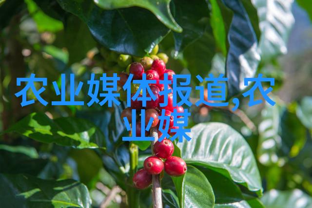 家庭园艺如何让水果树结果更快