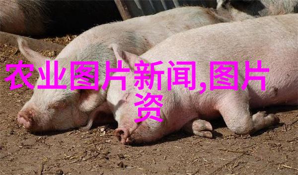 关于2022年度中国作物学会科学技术奖励推荐工作延期的通知