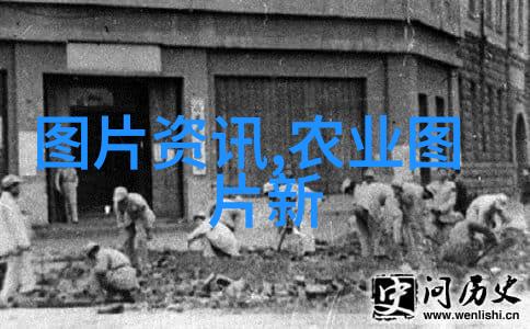 金线莲的珍贵与传奇20000一斤的天价秘密
