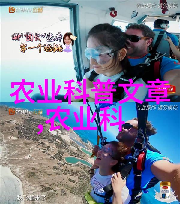相亲2高清字幕下载简介