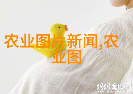 追踪药材新星这两年哪些种植项目有前景