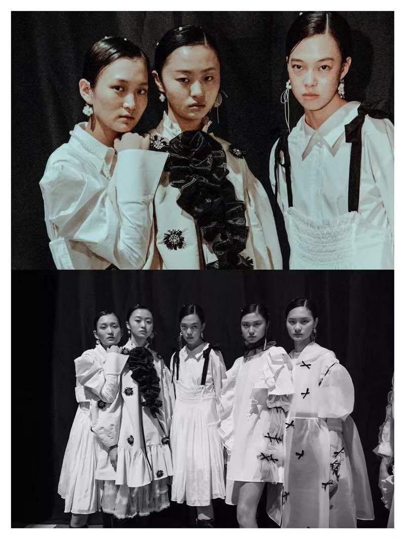现代药材种植追求健康与可持续发展的趋势