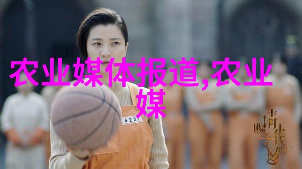 塑形未来深度探究吹塑机技术与应用之美