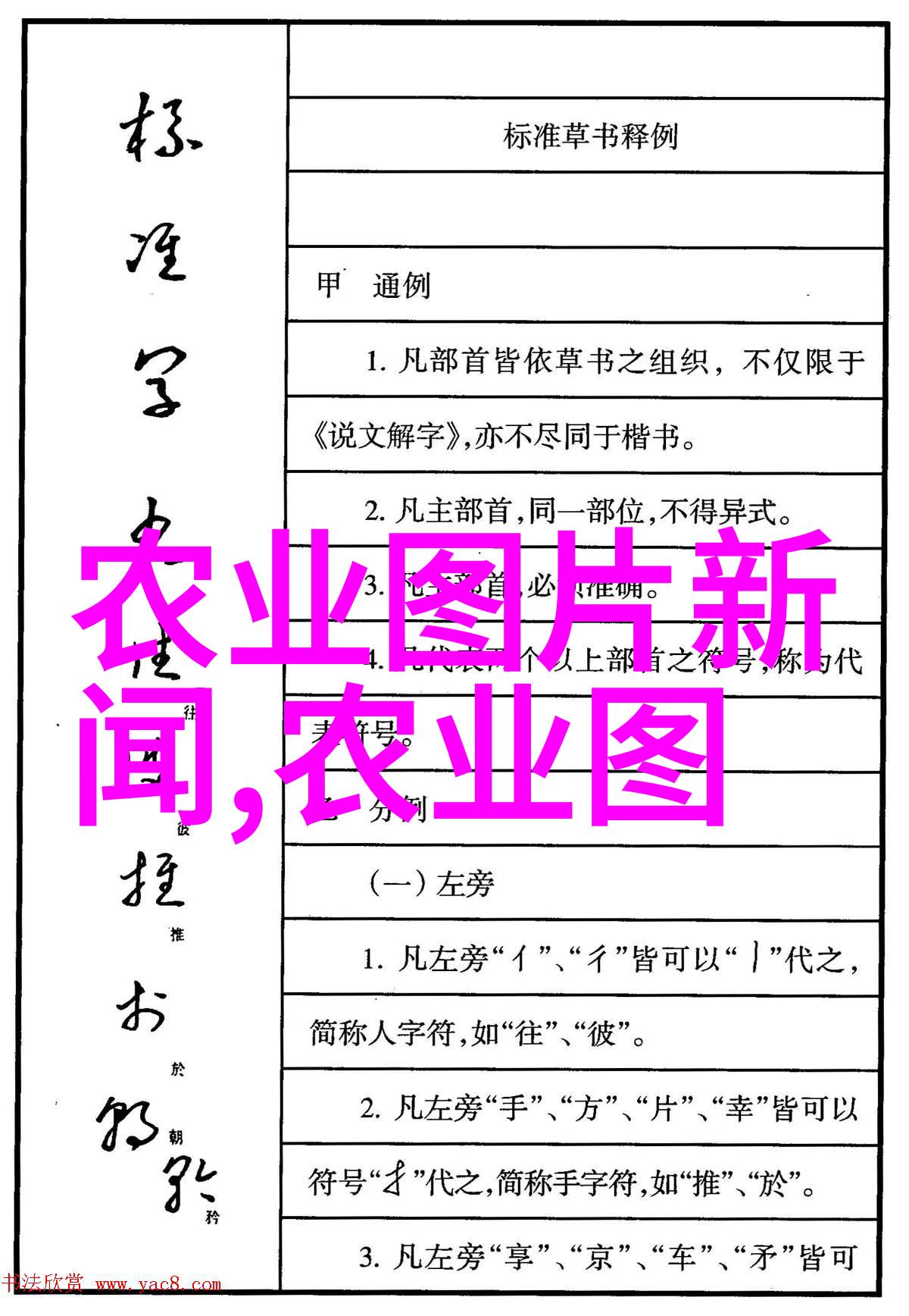 种植梦想捕捉希望记录农作物生长过程中的精彩瞬间