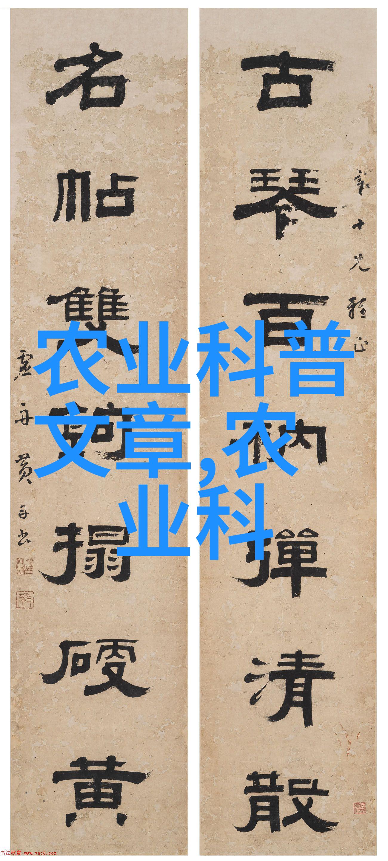 在今天这个物价上涨的年代一亩大型现代农业设施建设又该如何规划和分配资源以达到最佳效果