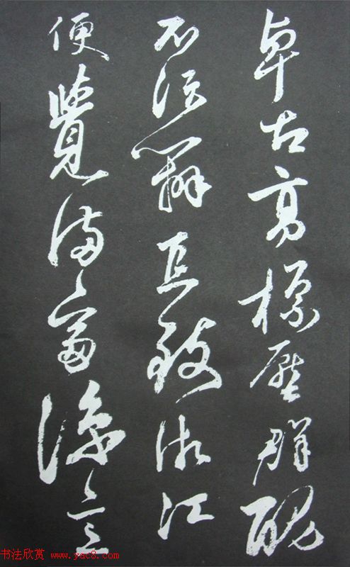 未来几年哪些花卉将成为流行趋势