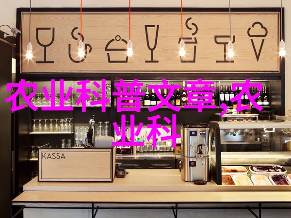 大棚建造全过程从土到房亩价不菲