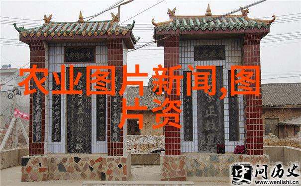 蟹爪兰的养殖艺术方法精髓与注意事项全解