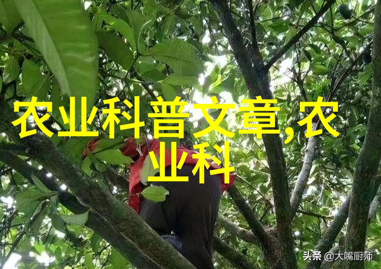 花语绘卷春日游的秘密花园