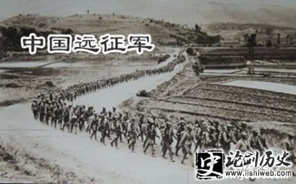 苗木通会员绿意盎然的商业奇迹