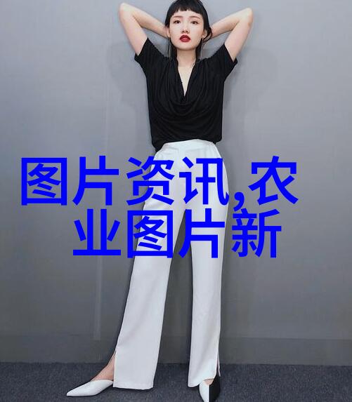 收割高峰各式农用拖拉车及其在作业中的应用