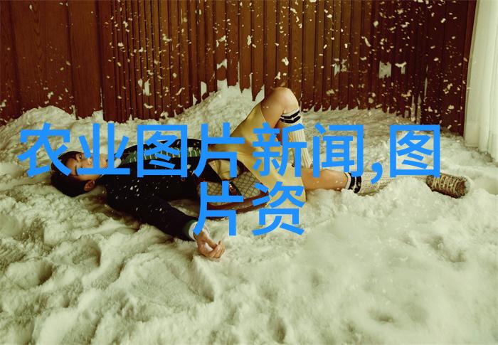 野花日本手机观看大全