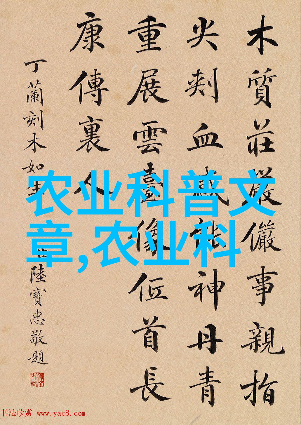 探究种子携带水果图像中的生态学与进化策略