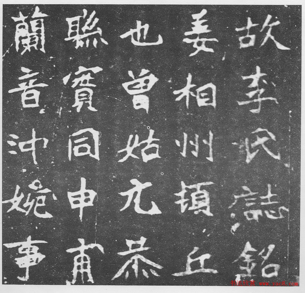 养殖5个林麝多少钱投资我来告诉你怎么算