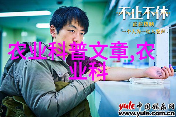 如何高效种植花卉2个关键步骤解析