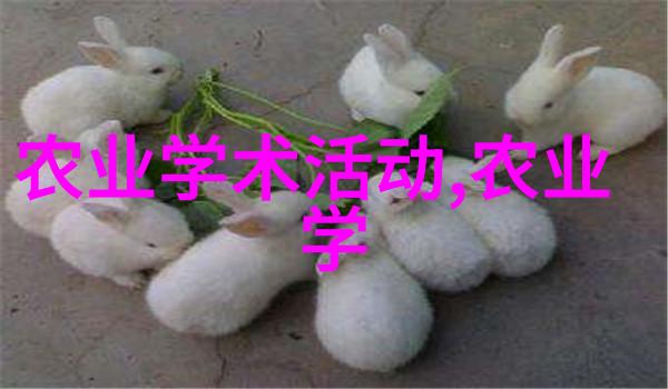 蜡纸般的建筑师观察蜜蜂建造巢穴的艺术与科技