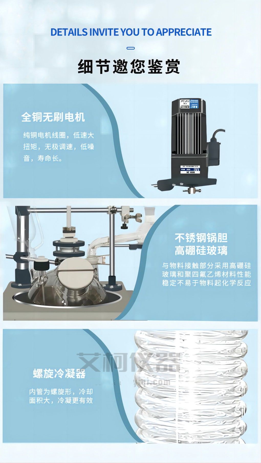 绿意盎然的财富守护者八种招财植物让家宅旺盛