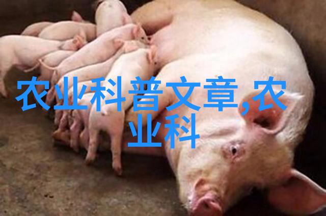 智农时代揭秘现代农业技术科普之旅