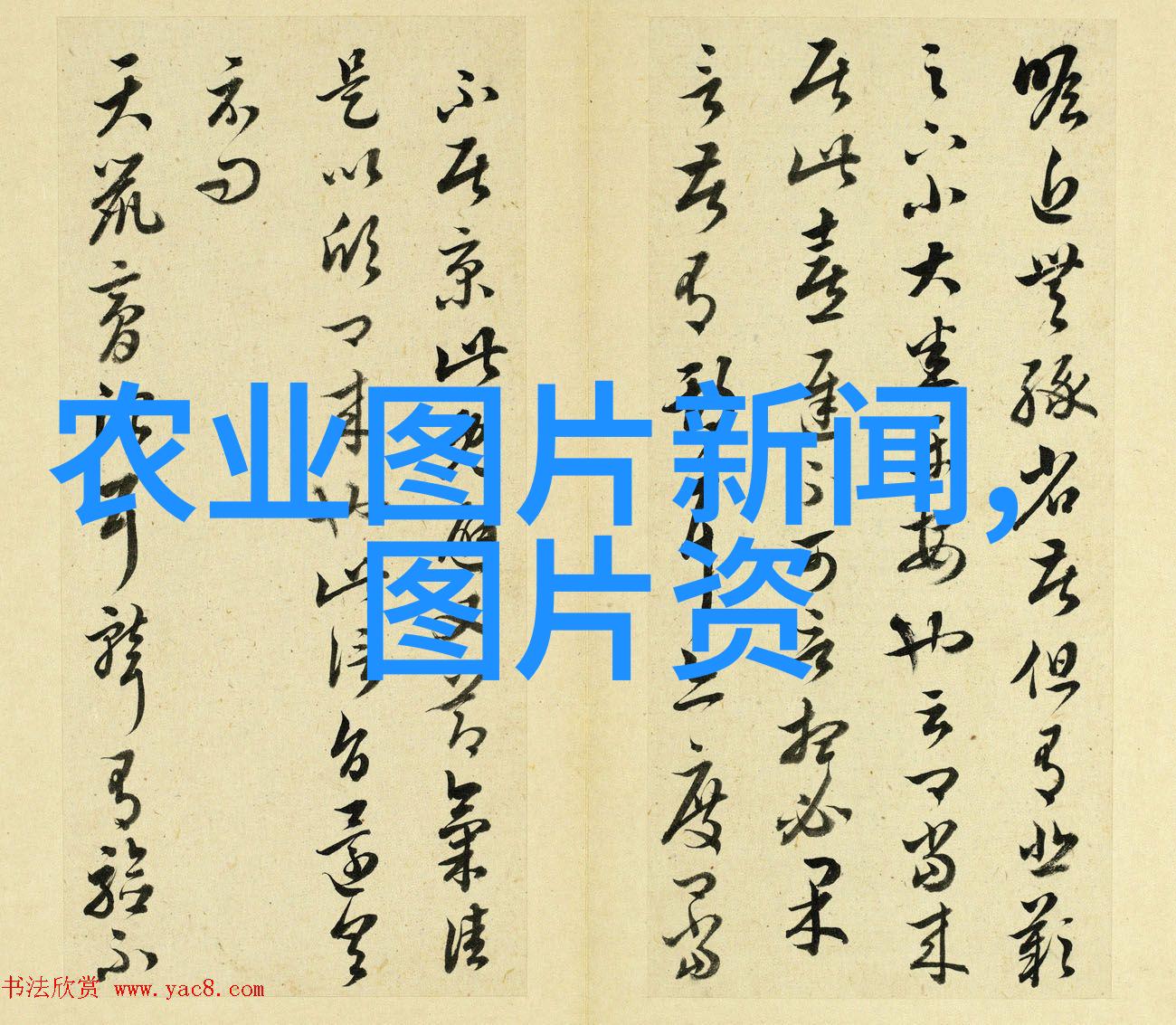 生活中的自然疗愈手段应该如何规划一个既美观又实用的家庭级别的草藥種植區域