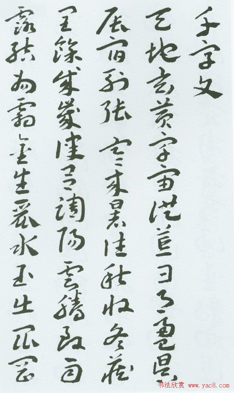 蜜蜂的秘密从蜂巢建设到花粉收集的精彩过程
