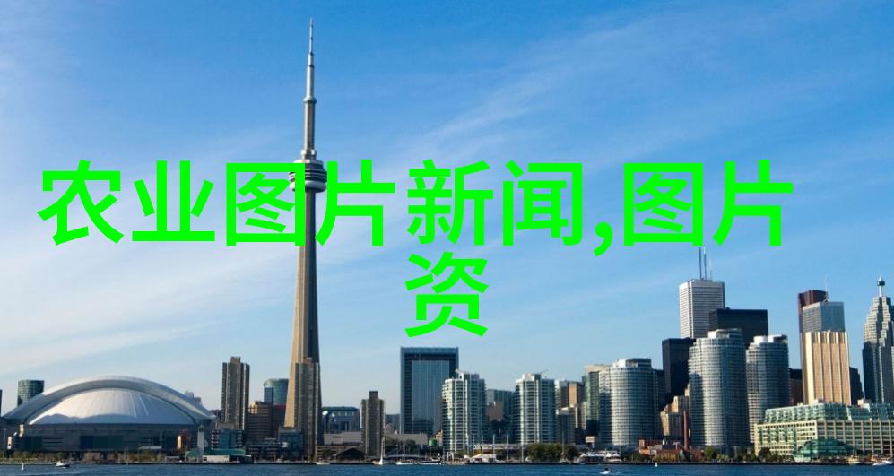 认识水果的种子 - 探索果实之源从种子到新生命的奇迹