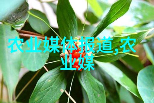 穷人也能致富吗探索适合低成本的养殖创业项目